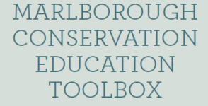 Marlborough Conservation Education Toolbox